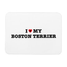 Jag älskar min Boston Terrier Flexible Magnet