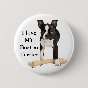 Jag älskar min Boston Terrier Knapp