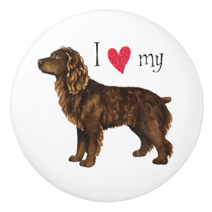 Jag älskar min Boykin Spaniel Knopp