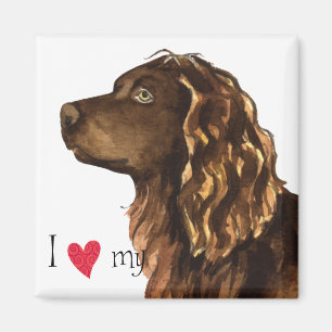 Jag älskar min Boykin Spaniel Magnet