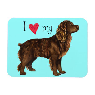 Jag älskar min Boykin Spaniel Magnet