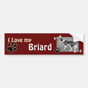 Jag älskar min Briard bildekal