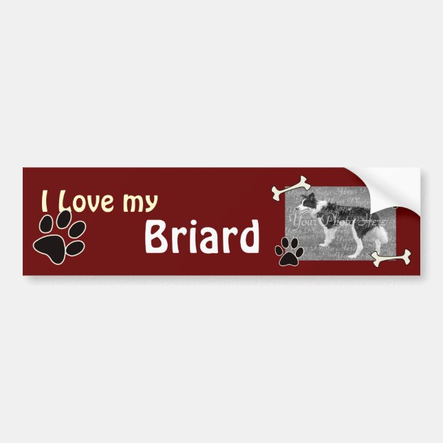 Jag älskar min Briard bildekal (Framsidan)
