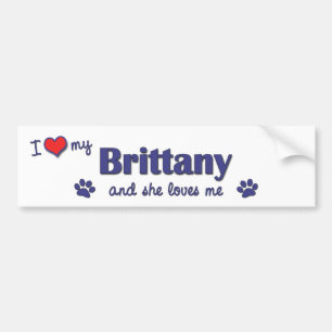 Jag älskar min Brittany (den kvinnliga hunden) Bildekal