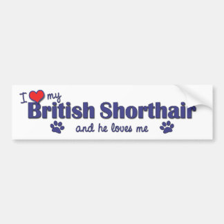Jag älskar min brittiska Shorthair (den Male Bildekal