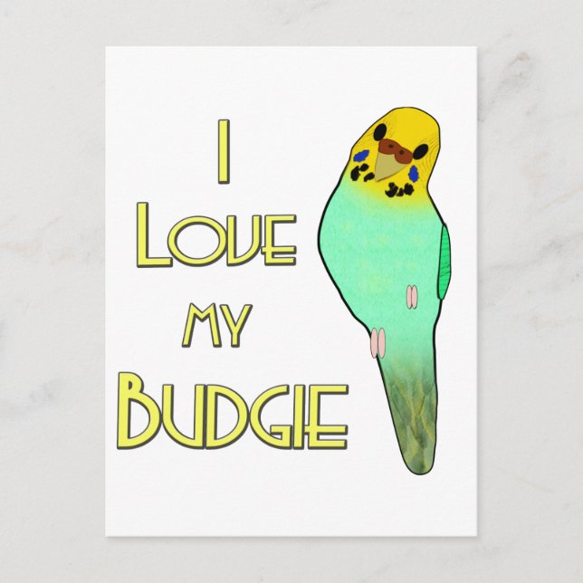 Jag älskar min Budgie Vykort (Framsida)