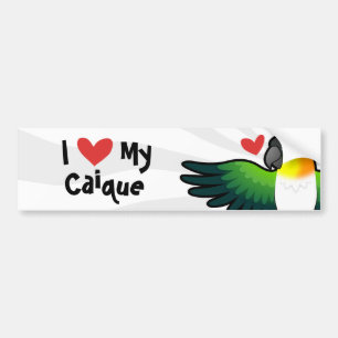 Jag älskar min Caique / Lovebird / Pionus / Papego Bildekal