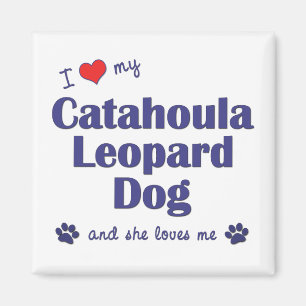Jag älskar min Catahoula Leopardhund (den Magnet