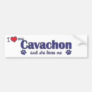 Jag älskar min Cavachon (den kvinnliga hunden) Bildekal
