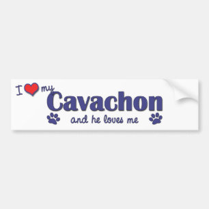 Jag älskar min Cavachon (den Male hunden) Bildekal