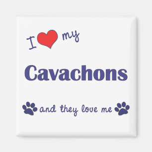 Jag älskar min Cavachons (åtskilliga hundar) Magnet