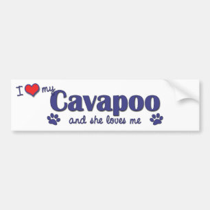Jag älskar min Cavapoo (den kvinnliga hunden) Bildekal