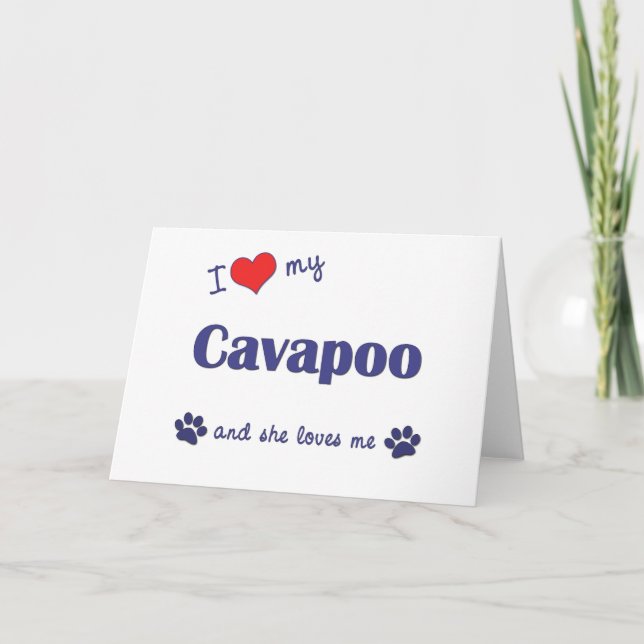 Jag älskar min Cavapoo (den kvinnliga hunden) Kort (Framsida)