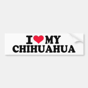 Jag älskar min Chihuahua Bildekal