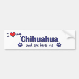Jag älskar min Chihuahua (den kvinnliga hunden) Bildekal