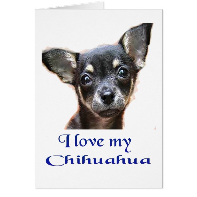 Jag älskar min chihuahua hälsningskort (Framsidan)