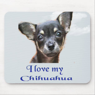 Jag älskar min chihuahua musmatta
