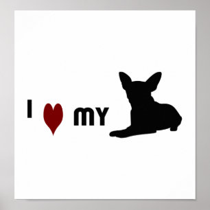 Jag älskar min chihuahua poster