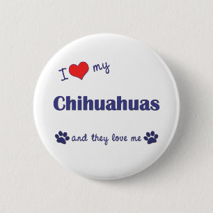 Jag älskar min Chihuahuas (åtskilliga hundar) Knapp