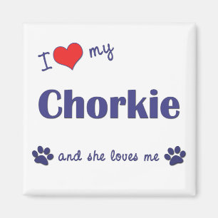 Jag älskar min Chorkie (den kvinnliga hunden) Magnet