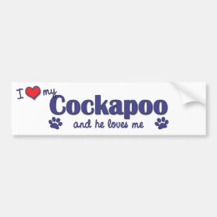Jag älskar min Cockapoo (den Male hunden) Bildekal
