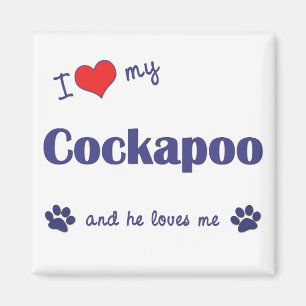 Jag älskar min Cockapoo (den Male hunden) Magnet