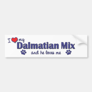 Jag älskar min Dalmatian blandning (den Male Bildekal