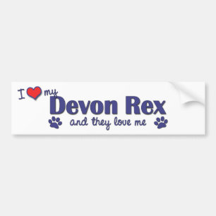 Jag älskar min Devon Rex (åtskilliga katter) Bildekal