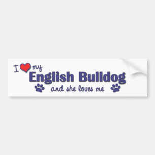 Jag älskar min engelska bulldogg (den kvinnliga bildekal