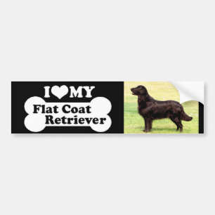 Jag älskar min framlänges bestrukna Retriever Bildekal