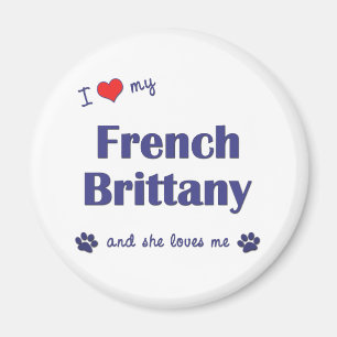 Jag älskar min franska Brittany (den kvinnliga Magnet