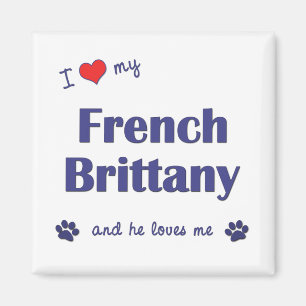 Jag älskar min franska Brittany (den Male hunden) Magnet