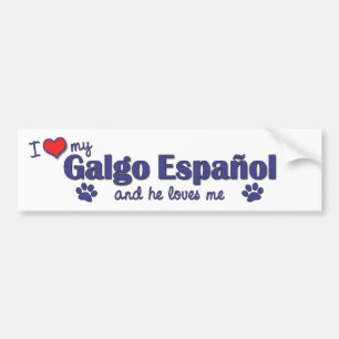 Jag älskar min Galgo Espanol (den Male hunden) Bildekal
