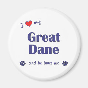 Jag älskar min great dane (den Male hunden) Magnet