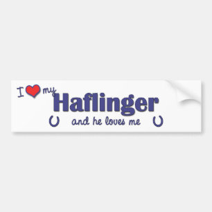 Jag älskar min Haflinger (den Male hästen) Bildekal