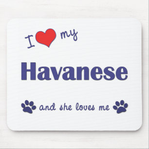 Jag älskar min Havanese (den kvinnliga hunden) Musmatta