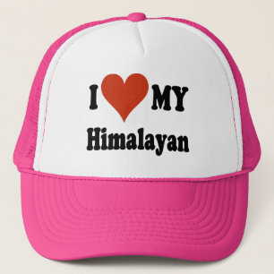 Jag älskar min Himalayan kattgåvor och dräkt Keps
