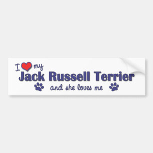 Jag älskar min jackRussell Terrier (den kvinnliga Bildekal