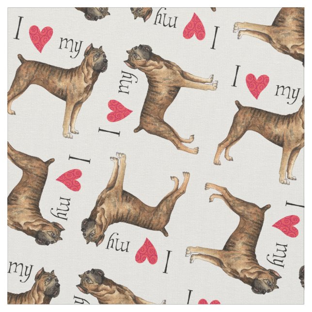 Jag älskar min käpp Corso Tyg (Närbild)