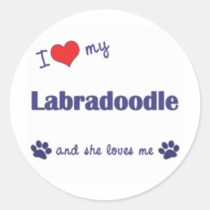 Jag älskar min Labradoodle (den kvinnliga hunden) Runt Klistermärke