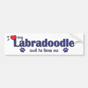 Jag älskar min Labradoodle (den Male hunden) Bildekal