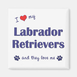 Jag älskar min Labrador Retrievers (åtskilliga Magnet
