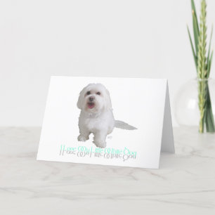 Jag älskar min lilla vita hund - Havanese Kort
