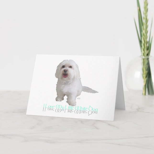 Jag älskar min lilla vita hund - Havanese Kort (Framsida)