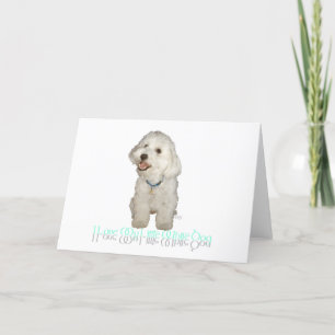 Jag älskar min lilla vita hund - Havanese Kort