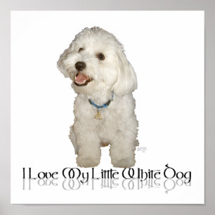 Jag älskar min lilla vita hund - Havanese Poster