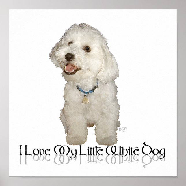 Jag älskar min lilla vita hund - Havanese Poster (Framsidan)
