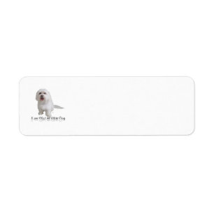 Jag älskar min lilla vita hund - Havanese Returadress Etikett