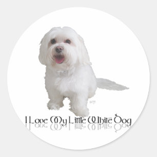 Jag älskar min lilla vita hund - Havanese Runt Klistermärke