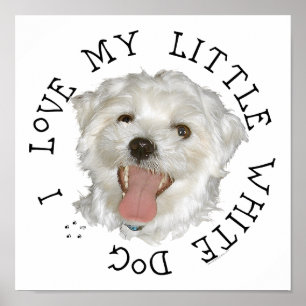 Jag älskar min lilla vita hund malteser poster
